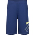 PUMA Boys Core Essential Athletic Shorts