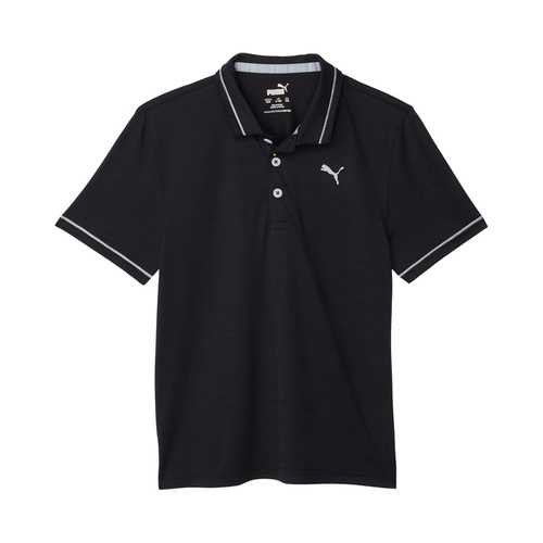 퓨마 PUMA Golf Kids Cloudspun Monarch Polo (Big Kids)