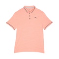 PUMA Golf Kids Cloudspun Monarch Polo (Big Kids)