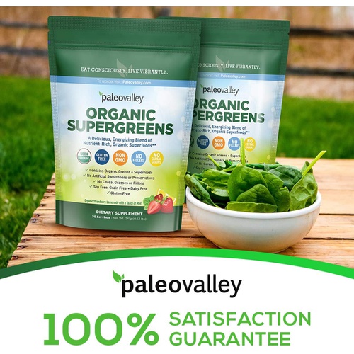  Paleovalley Organic Supergreens - Organic Greens Powder Superfood for Immune Support - Paleo Green Powder Blend - 28 Servings - 23 Organic Superfoods - Gluten Free, No Cereal Grass