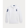 Big Pony Mesh Long-Sleeve Polo