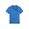 Baby Boys Cotton Interlock Polo Shirt