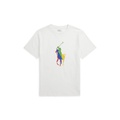 Boys 8-20 Big Pony Cotton Jersey T-Shirt