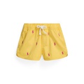 Toddler and Little Girls Polo Pony Cotton Twill Shorts