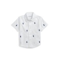 Baby Boys Pony Oxford Short-Sleeve Shirt