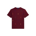 Big Boys Polo Pony Cotton Mesh Tee