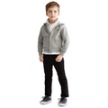 Toddler and Little Boys Cotton Fleece Hoodie