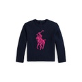 Toddler and Little Girls Big Pony Cotton Sweater