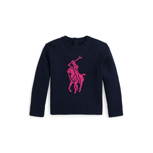 폴로 랄프로렌 Toddler and Little Girls Big Pony Cotton Sweater