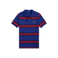 Big Boys Striped Cotton Mesh Polo Shirt