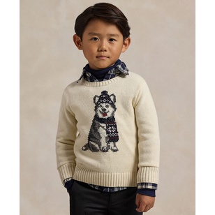 Toddler and Little Boys Dog-Intarsia Crewneck Sweater