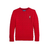 Big Boys Polo Bear Cable Knit Cotton Sweater