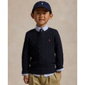 Toddler and Little Boys Cable Knit Cotton Sweater