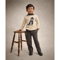 Toddler and Little Boys Dog Intarsia Crewneck Sweater