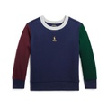 Polo Ralph Lauren Kids Color-Blocked Double-Knit Sweatshirt (Toddler/Little Kids)