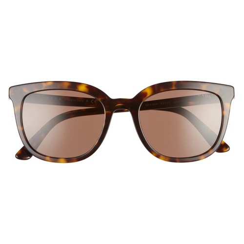 프라다 Prada 53mm Cat Eye Sunglasses_HAVANA/ BROWN