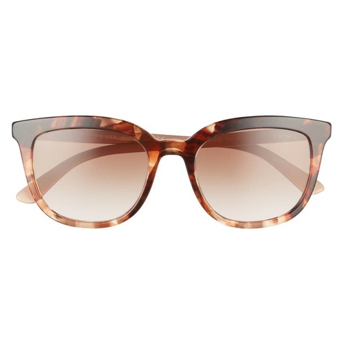 프라다 Prada Pillow 53mm Cat Eye Sunglasses_CARAMEL TORTOISE/ BROWN