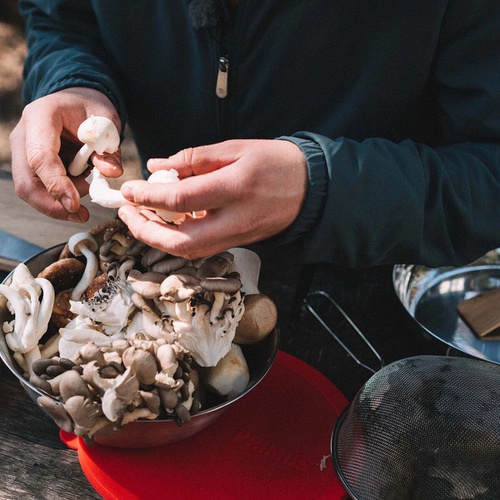  Primus Stainless Steel Campfire Bowl - Hike & Camp