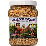 Mushroom Popcorn Kernels by Princeton Popcorn ? Farm Grown, Non GMO, Gluten Free UnPopped, Ball Shaped, Old Fashion Popcorn ? Pops Extra Large, Popping Corn for Air Popper & Stovet