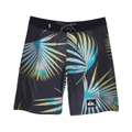 Quiksilver Kids HIghlite Arch (Big Kids)