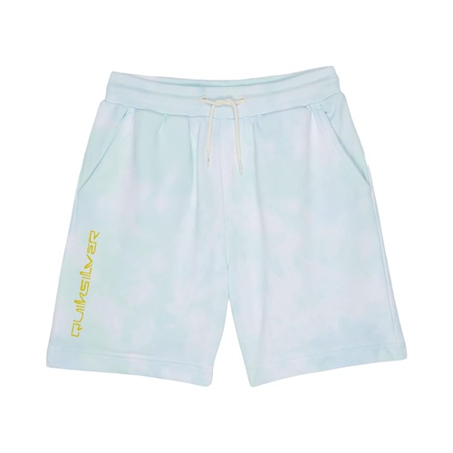 퀵실버 Quiksilver Kids Slow Dive Shorts (Big Kids)