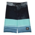 Quiksilver Kids Surfsilk Tijuana 14 Boardshorts (Toddleru002FLittle Kids)