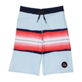 Quiksilver Kids Surfsilk Resin Tint (Toddleru002FLittle Kids)