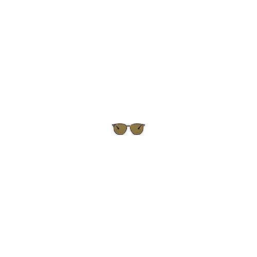 레이벤 RAY-BAN Sunglasses