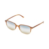 Ray-Ban 0RB2193 Leonard