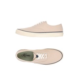 SPERRY TOP-SIDER Cloud CVO