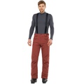 Salomon Stance Pant - Men