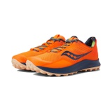 Saucony Peregrine 12