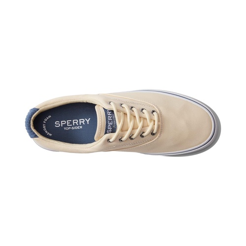 스페리 Sperry Halyard CVO Striped Terry