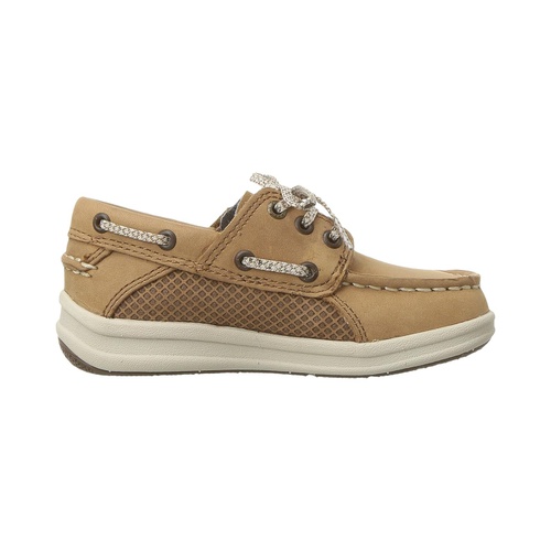 스페리탑사이더 Sperry Kids Gamefish Jr (Toddler/Little Kid)