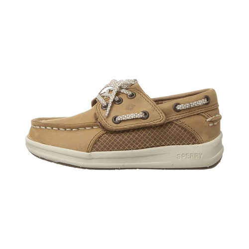 스페리탑사이더 Sperry Kids Gamefish Jr (Toddler/Little Kid)