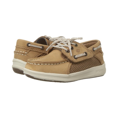 스페리탑사이더 Sperry Kids Gamefish Jr (Toddler/Little Kid)