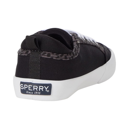 스페리탑사이더 Sperry Kids Covetide Washable (Little Kid/Big Kid)