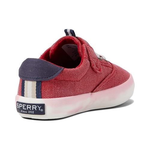 스페리탑사이더 Sperry Kids Spinnaker Washable (Toddler/Little Kid)