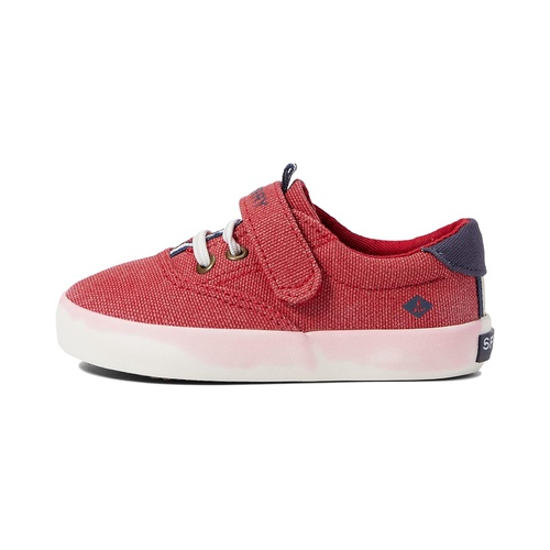 스페리탑사이더 Sperry Kids Spinnaker Washable (Toddler/Little Kid)