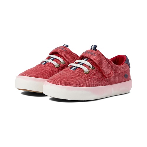 스페리탑사이더 Sperry Kids Spinnaker Washable (Toddler/Little Kid)