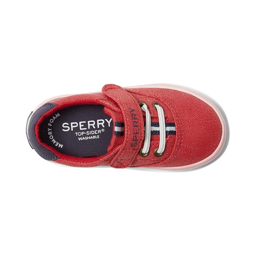 스페리탑사이더 Sperry Kids Spinnaker Washable (Toddler/Little Kid)