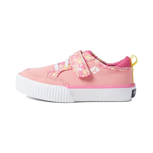 스페리탑사이더 Sperry Kids Covetide Jr Washable (Toddler/Little Kid)