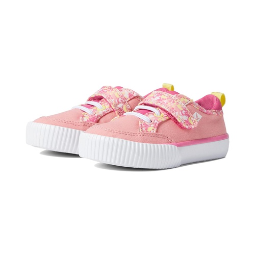 스페리탑사이더 Sperry Kids Covetide Jr Washable (Toddler/Little Kid)