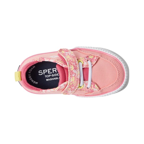 스페리탑사이더 Sperry Kids Covetide Jr Washable (Toddler/Little Kid)