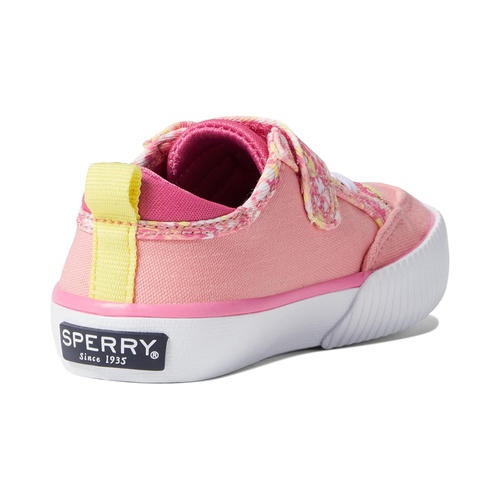 스페리탑사이더 Sperry Kids Covetide Jr Washable (Toddler/Little Kid)