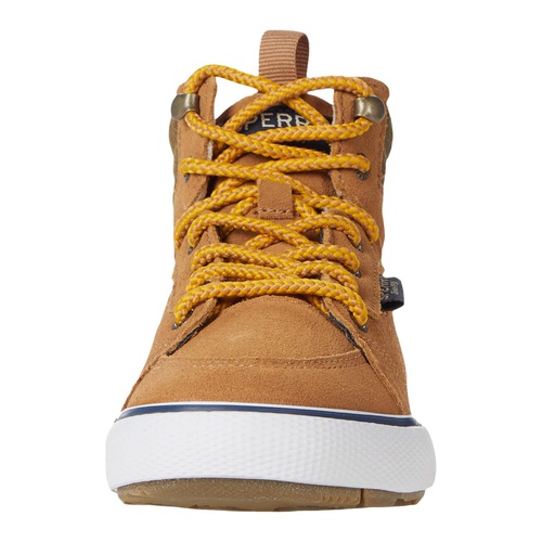 스페리탑사이더 Sperry Kids Striper Storm Hi (Little Kidu002FBig Kid)