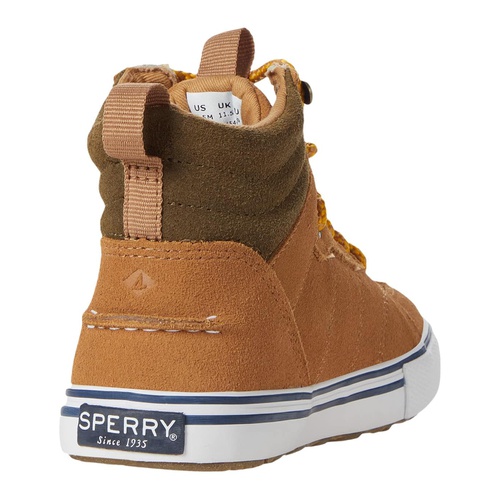 스페리탑사이더 Sperry Kids Striper Storm Hi (Little Kidu002FBig Kid)