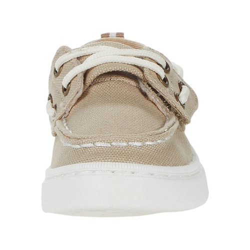 스페리탑사이더 Sperry Kids Sea Ketch Washable (Toddleru002FLittle Kid)