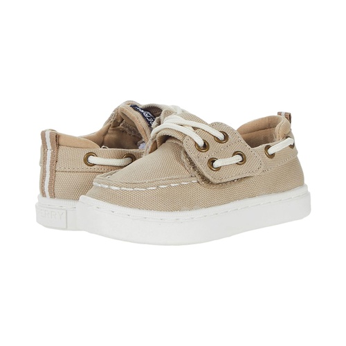 스페리탑사이더 Sperry Kids Sea Ketch Washable (Toddleru002FLittle Kid)