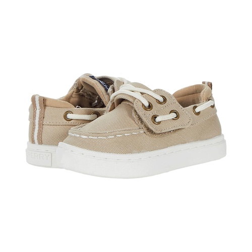 스페리탑사이더 Sperry Kids Sea Ketch Washable (Toddleru002FLittle Kid)